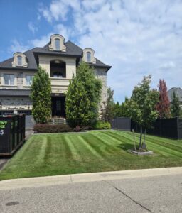 Why Mowing Your Lawn Weekly Is One of the Best Things You Can Do for Your Yard